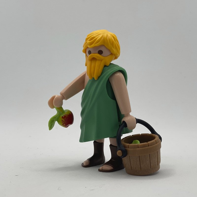 Playmobil Aldeano Frutero