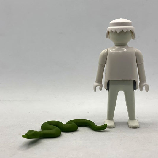 Playmobil Serpiente Verde ANI067