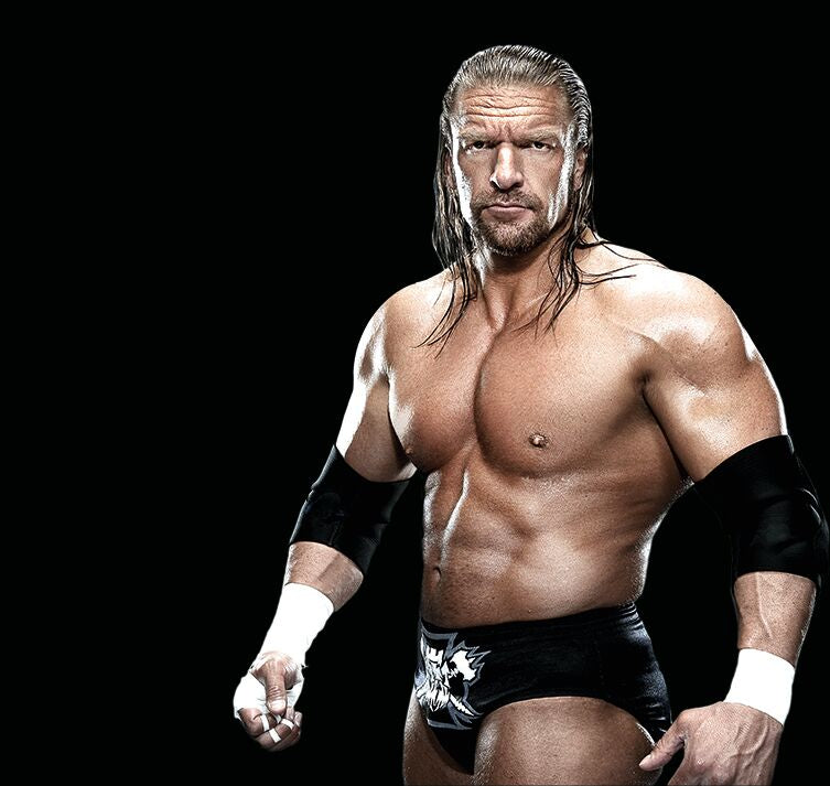 Playmobil 71963 - WWE Triple H
