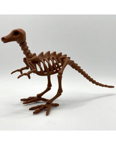 Playmobil Esqueleto Dino ANI018