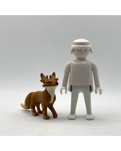 Playmobil Zorro Ayuma