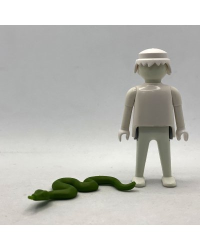 Playmobil Serpiente Verde ANI067