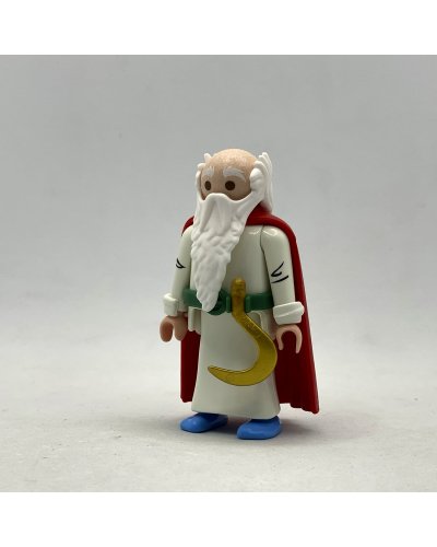 Playmobil Panoramix