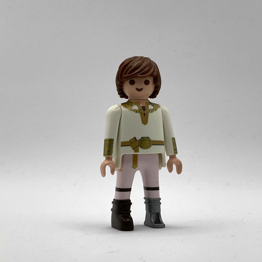 Playmobil Hipo boda FIG043