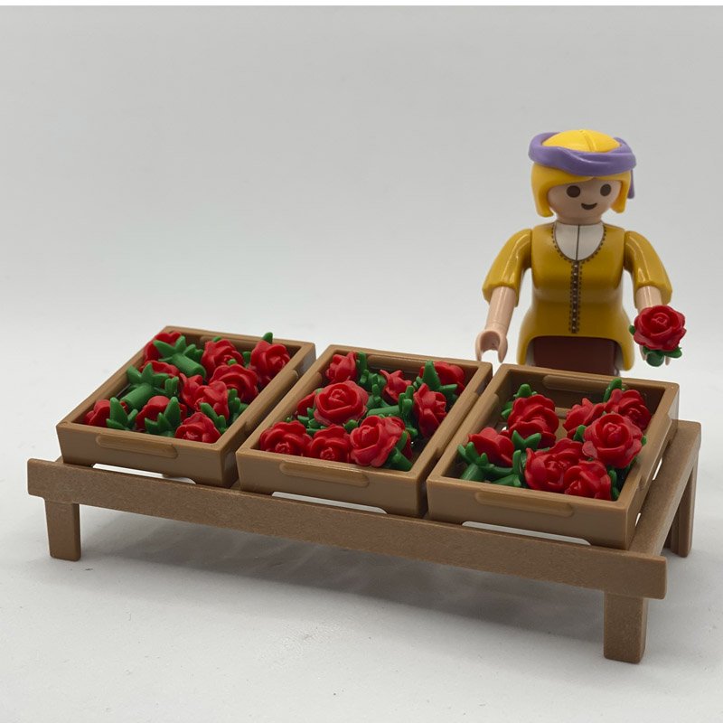 Playmobil Mercado Flores
