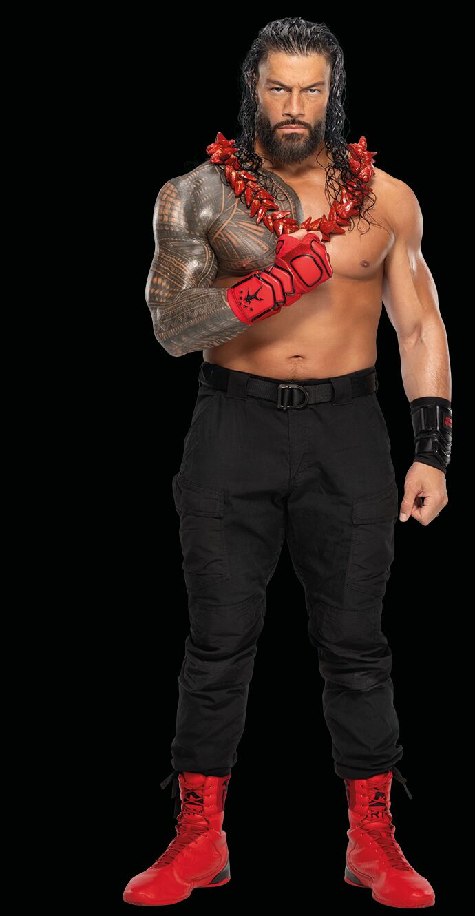 Playmobil 71960 - WWE Roman Reigns