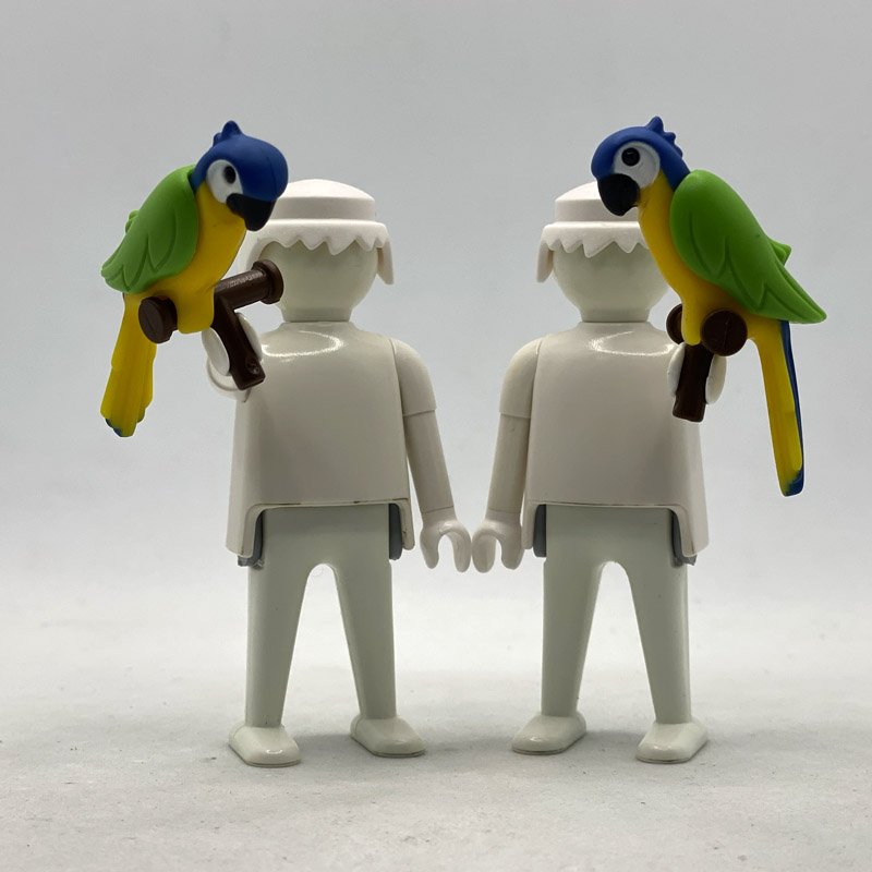 Playmobil Loro Verde