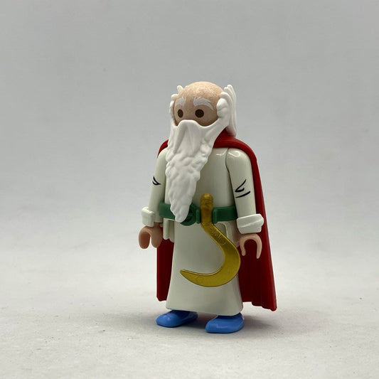Playmobil Panoramix